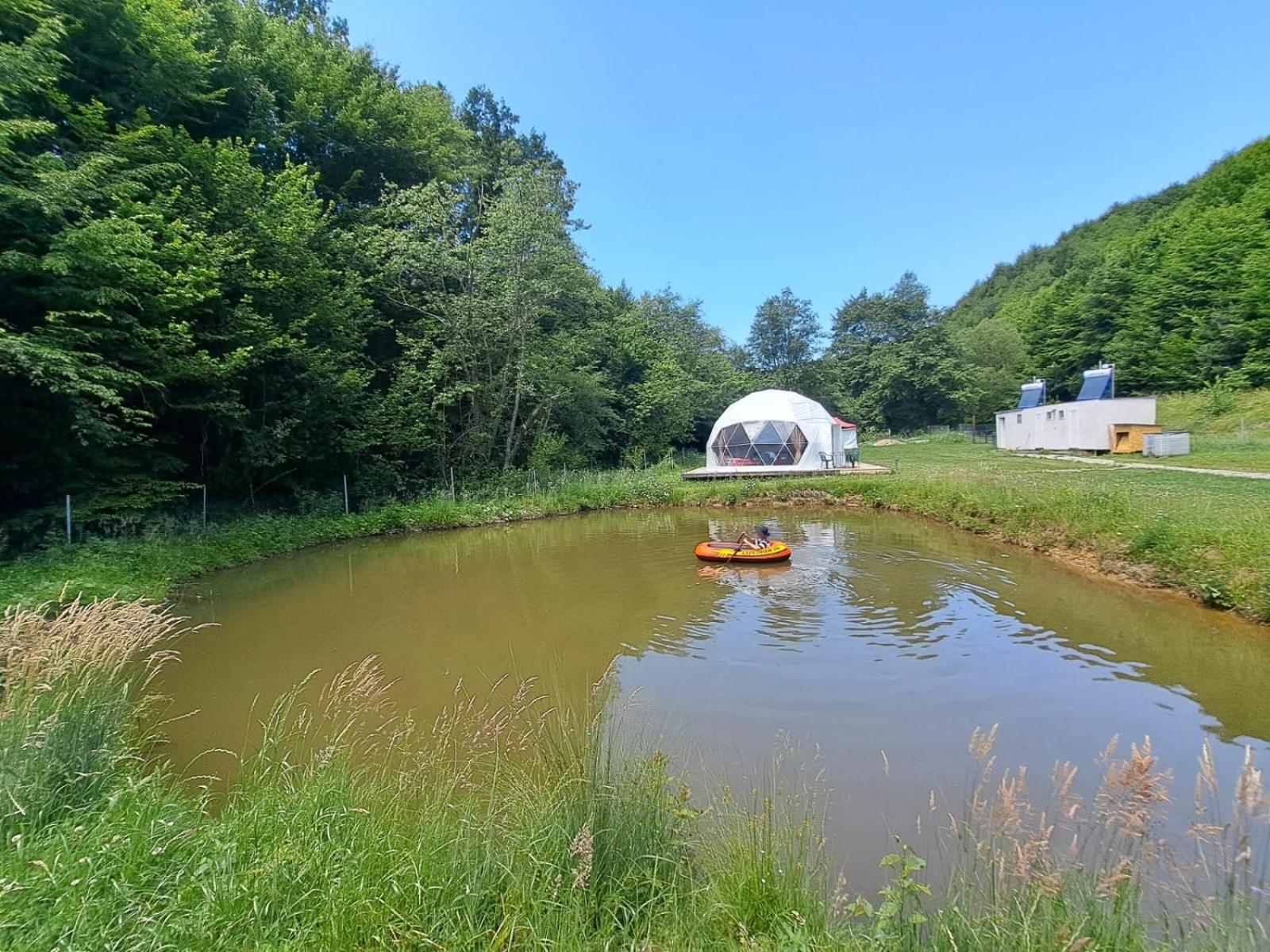Forest Glamping Braşov Dış mekan fotoğraf