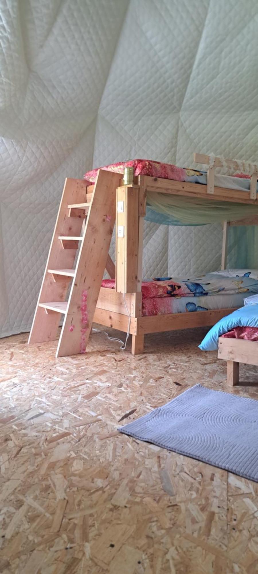 Forest Glamping Braşov Dış mekan fotoğraf