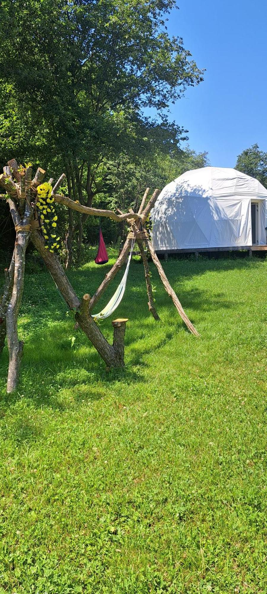 Forest Glamping Braşov Dış mekan fotoğraf