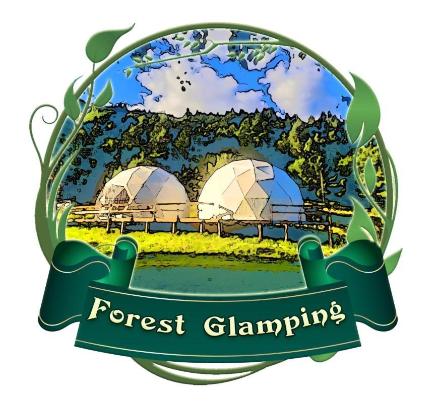 Forest Glamping Braşov Dış mekan fotoğraf