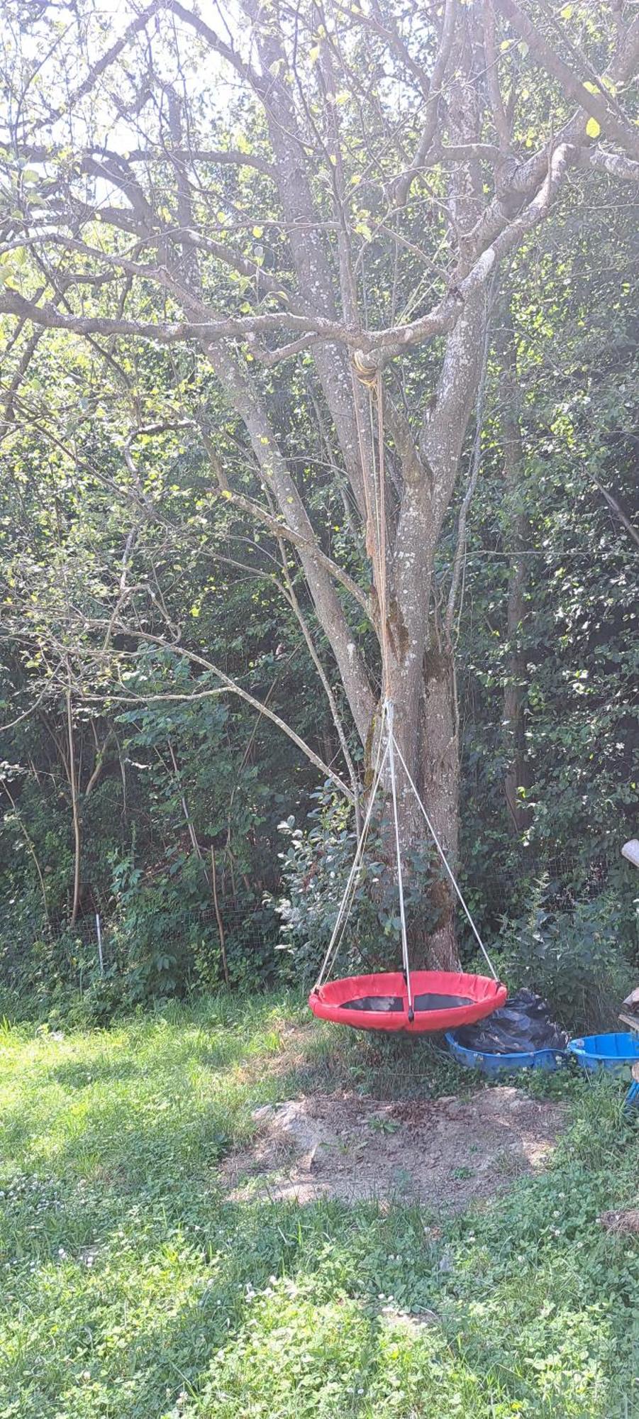 Forest Glamping Braşov Dış mekan fotoğraf
