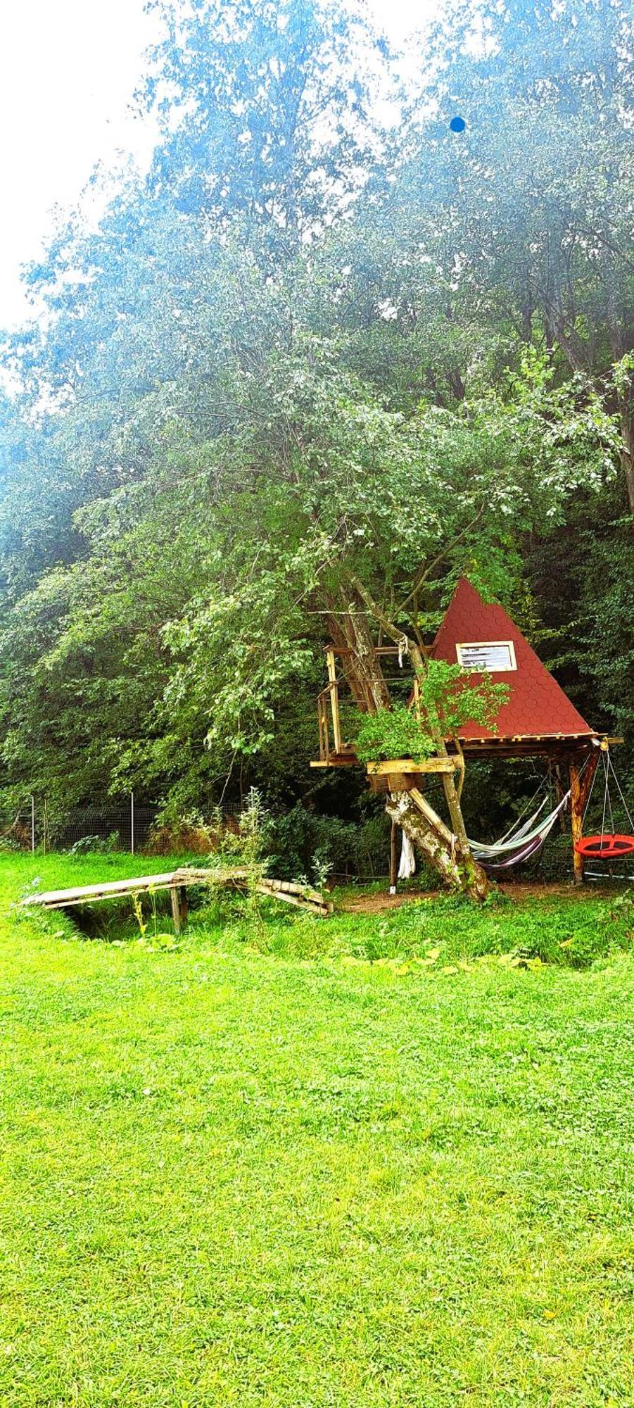 Forest Glamping Braşov Dış mekan fotoğraf