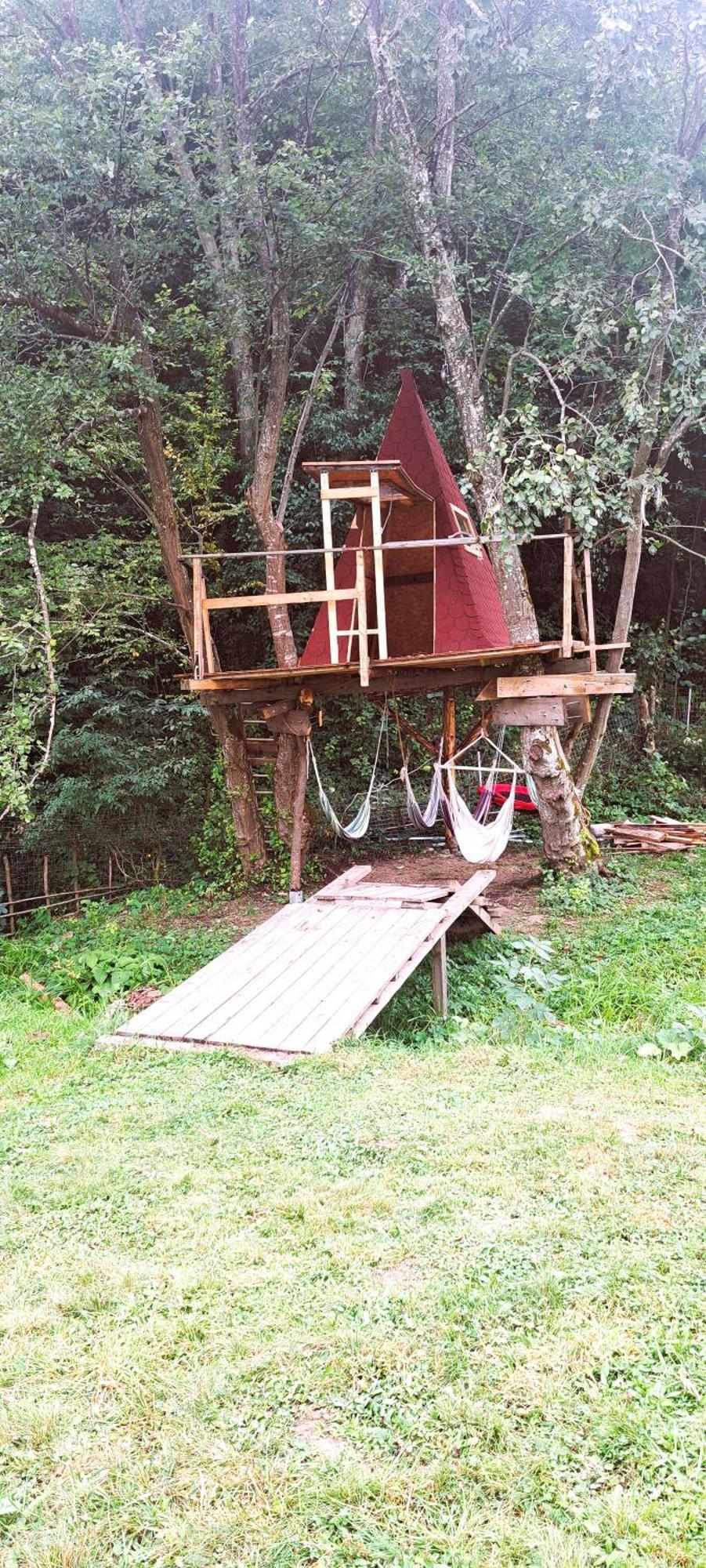 Forest Glamping Braşov Dış mekan fotoğraf
